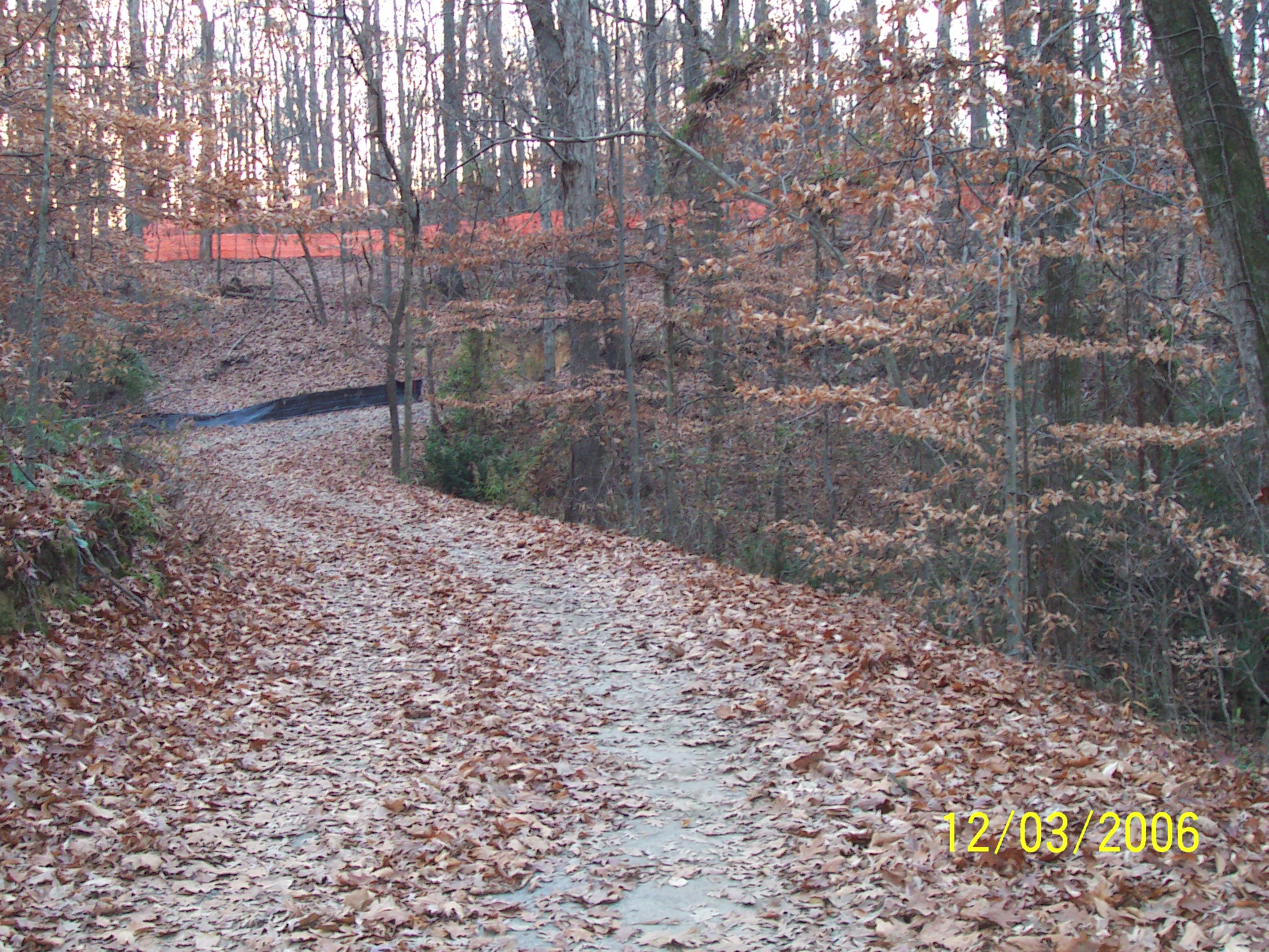 Union Field Fortifications at Henderson Road